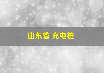 山东省 充电桩